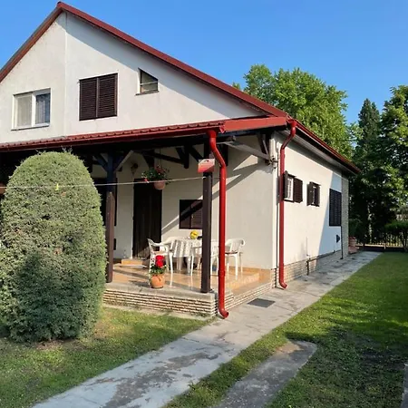 Rózsa