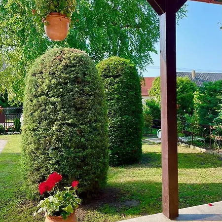 Rózsa Balatonboglár