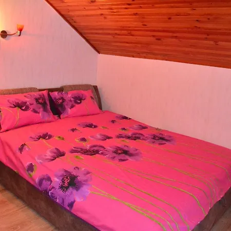 Tatil Evi Rozsa Nyaralohaz Balatonboglár