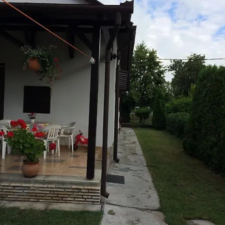 Rózsa