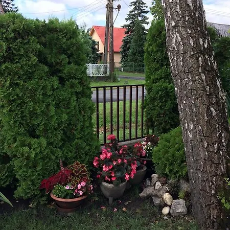 Rozsa Nyaralohaz Tatil Evi Balatonboglár